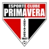 Primavera SP