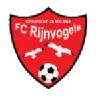 Rijnvogels