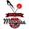 Magpies
