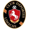 Deportes Limache