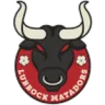 Lubbock Matadors