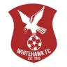 Whitehawk