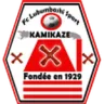 Lubumbashi Sport