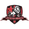 Leicester Nirvana